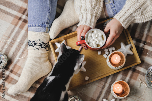 Young woman sits on plaid in cozy knitted woolen sweater with tuxedo cat and holds cup cocoa marshmallows. Hygge New Year, Christmas, preparation for holidays. Wooden tray with candles, stars, balls.