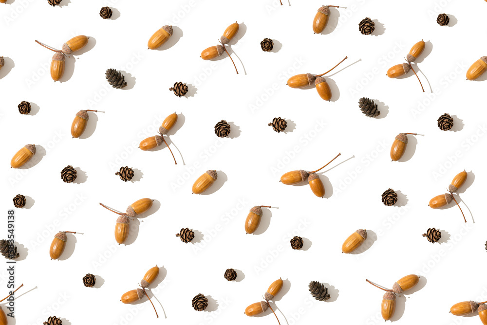Autumn seamless Pattern made of acorn and pine cones on white background. Flat lay, top view. Fabric, wrapping paper, wallpaper background design. Autumn seamless Pattern made of acorn and pine cones on white background. Flat lay, top view. Fabric, wrapping paper, wallpaper background design.
