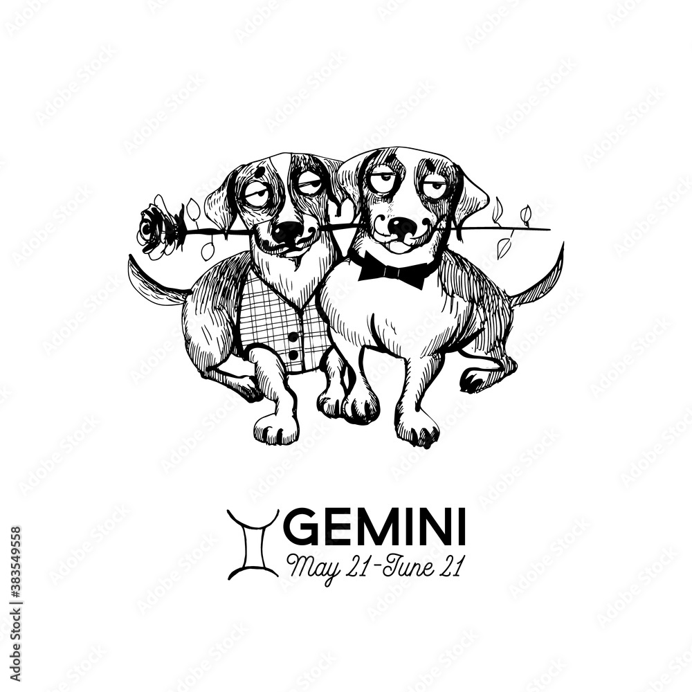 funny dogs zodiac signs