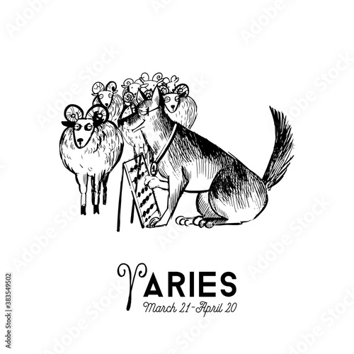 funny dogs zodiac signs