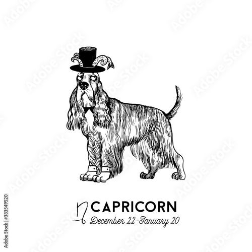 funny dogs zodiac signs