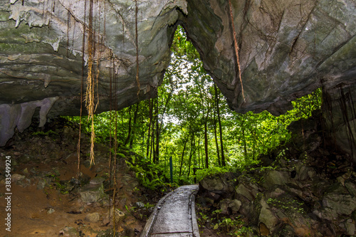 Lang Cave in Mulu National Park, Malaysia photo
