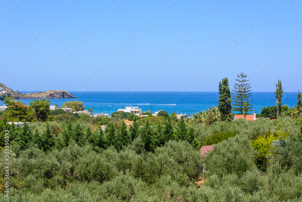 sea view, olive gardens, cottages and rocks