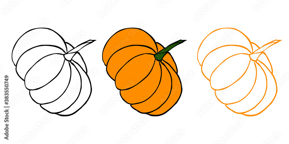Pumpkin set illustration (line art). Perfect for your halloween/thanksgiving/organic natural design. Vector eps10, objects isolated on white background.