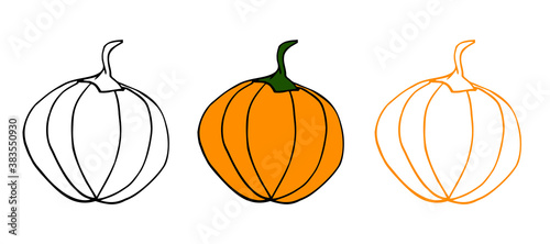 Pumpkin set illustration (line art). Perfect for your halloween/thanksgiving/organic natural design. Vector eps10, objects isolated on white background.
