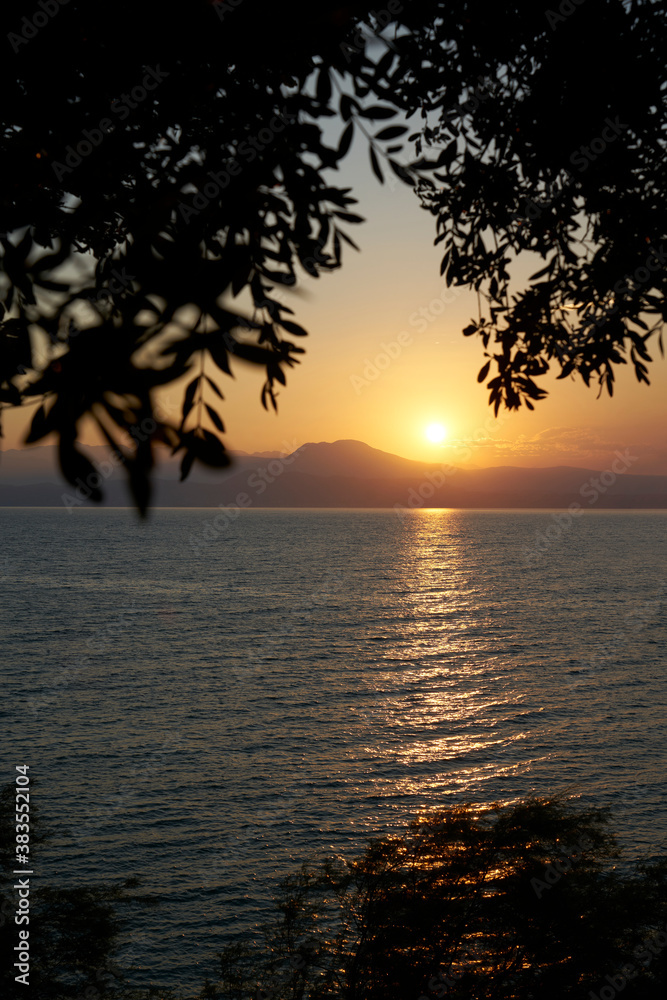 Olive trees in the foreground frame a deep calm sunrise over the lake, with the sun rising between the branches and leaves. The water of Lake Garda reflects the warm colors of the sun.