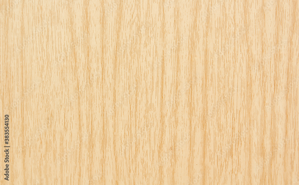 Wood texture of bark wood use as natural background and light wood Wood texture of bark wood use as natural background and light wood
