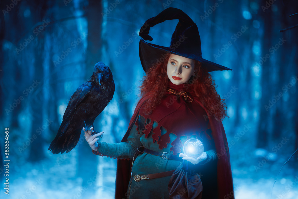 lovely witch with raven