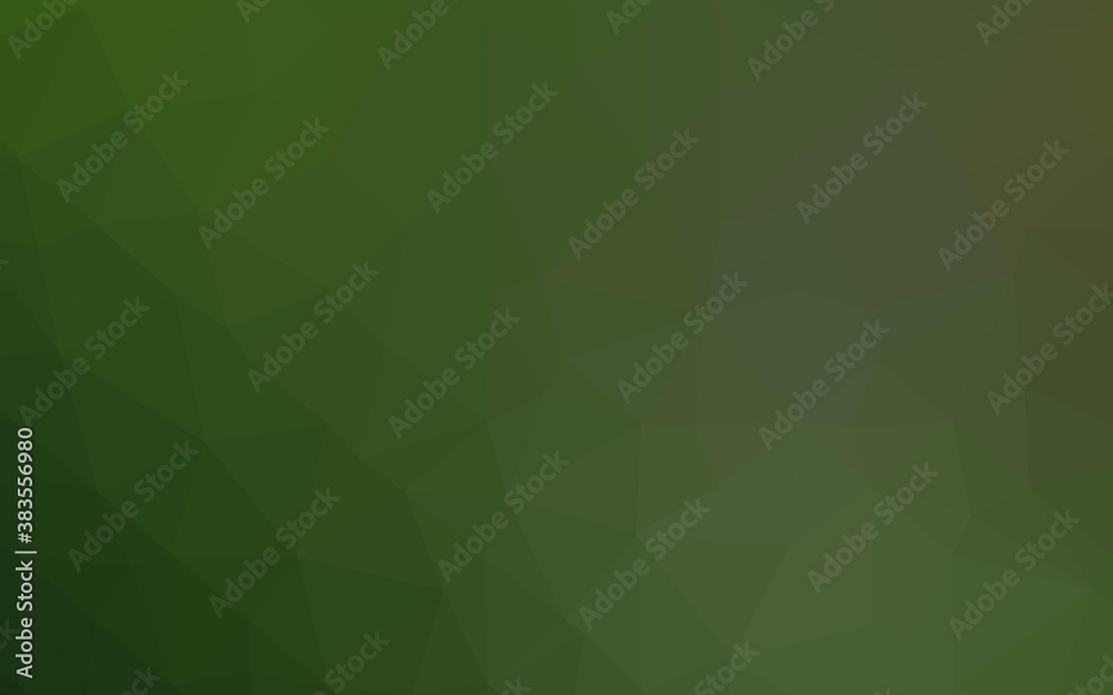 Light Green vector polygon abstract background. Light Green vector polygon abstract background.