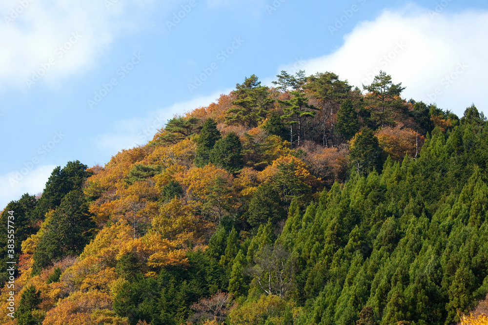 秋色に染まる山