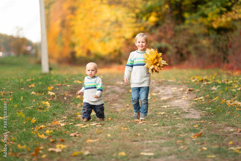 Happy little boys with autumn leaves in the park Happy little boys with autumn leaves in the park