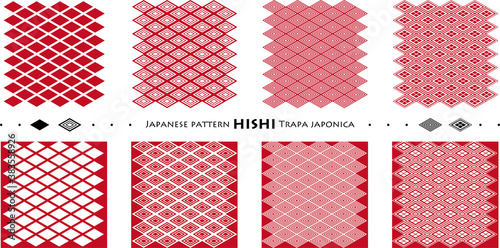 Japanese pattern HISHI Trapa japonica_seamless pattern_c02