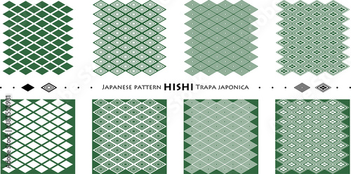 Japanese pattern HISHI Trapa japonica_seamless pattern_c06