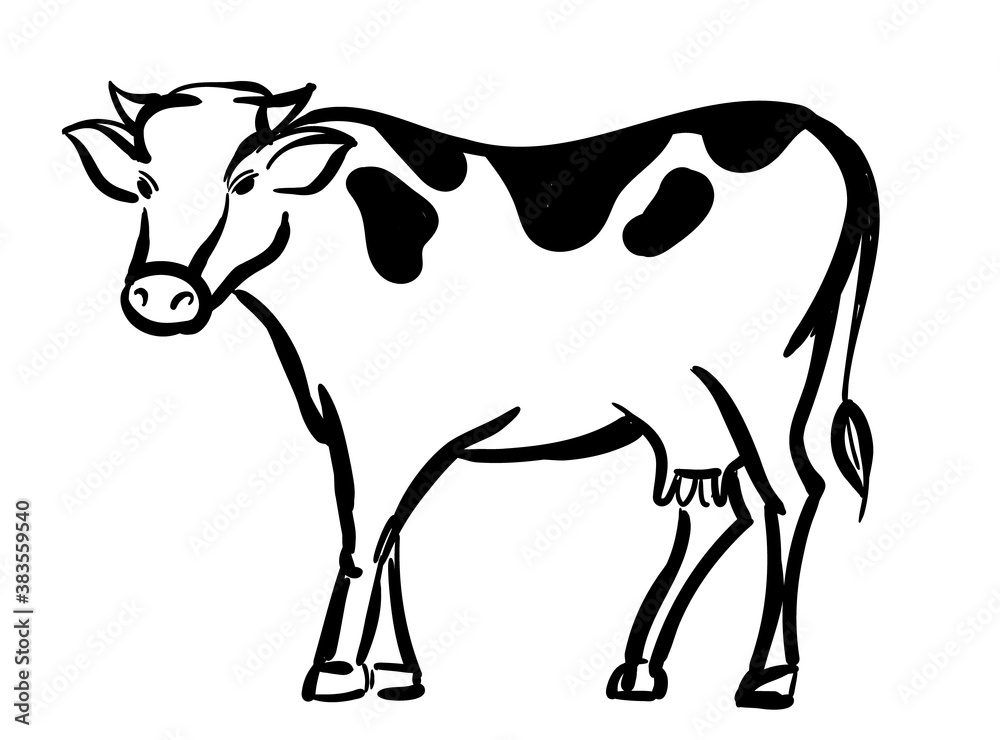 Hand drawn cow isolated on white background. Cow silhouette vector illustration. Eco bio produce concept design.