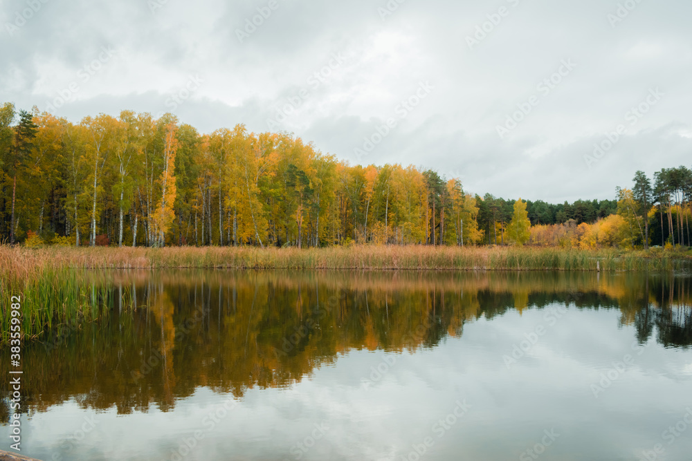 Landscape of a beautiful lake at the edge of the forest	
