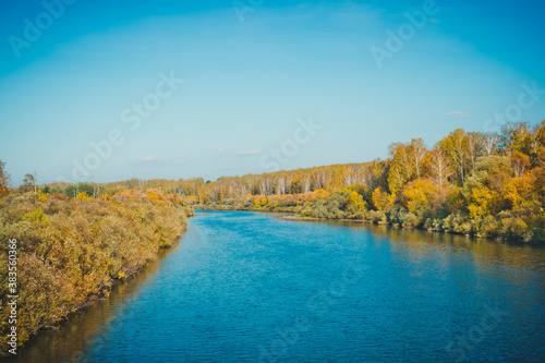The river surrounded by trees 