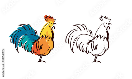 Hand drawn rooster sketch f...