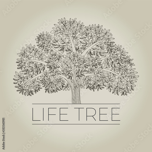 Hand drawn family life tree...