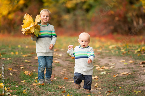Happy little boys with autumn leaves in the park