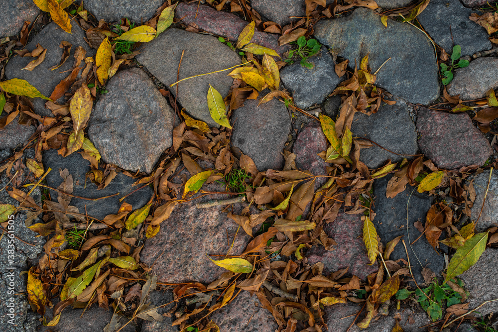 The pavement of granite stone. Old cobblestone road pavement texture, autumn leaves on the ground. Texture, background.