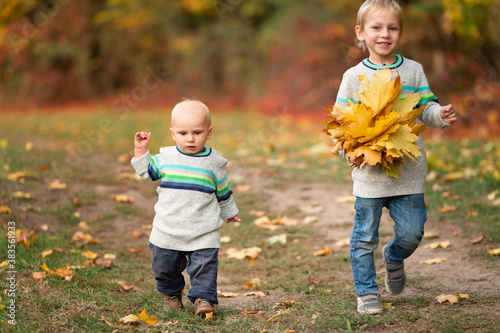 Happy little boys with autumn leaves in the park