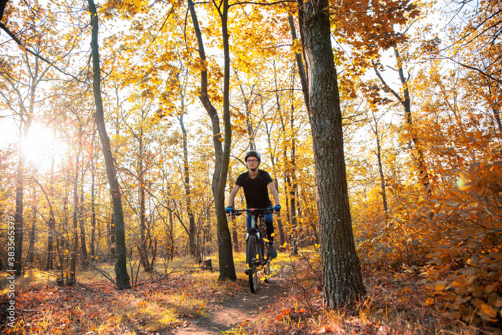 Fototapeta premium caucasian man in a helmet and sport gloves rides on the bike in the beautiful orange autumn forest at sunrise time.