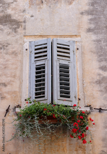 window with flowers