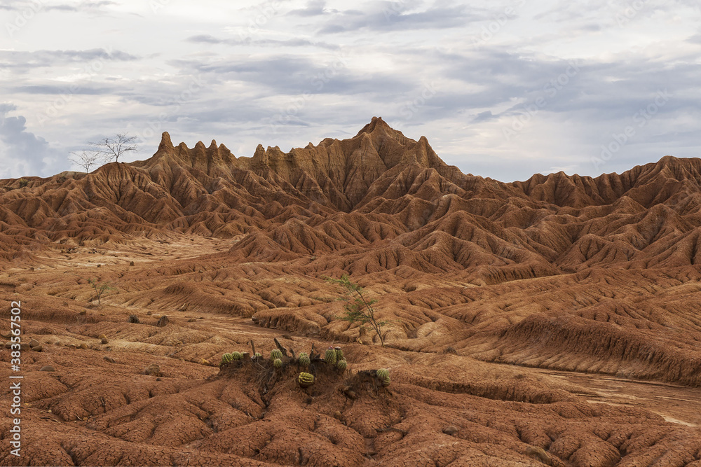 Fototapeta premium Tatacoa Dessert, Colombia.
