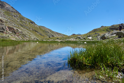 kleiner Bergsee Teich mit klarem blauem Wasser und grünen Pflanzen in den Bergen Alpen beim Wandern