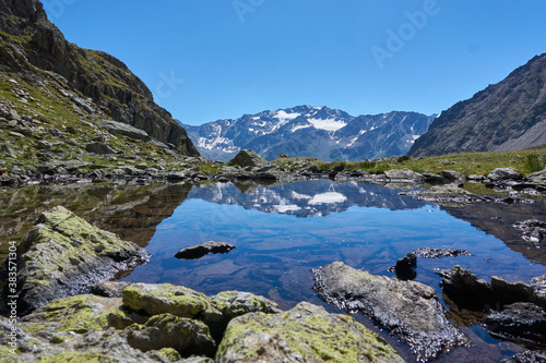 Fototapeta Naklejka Na Ścianę i Meble -  kleiner Bergsee Teich mit klarem blauem Wasser und grünen Pflanzen in den Bergen Alpen beim Wandern