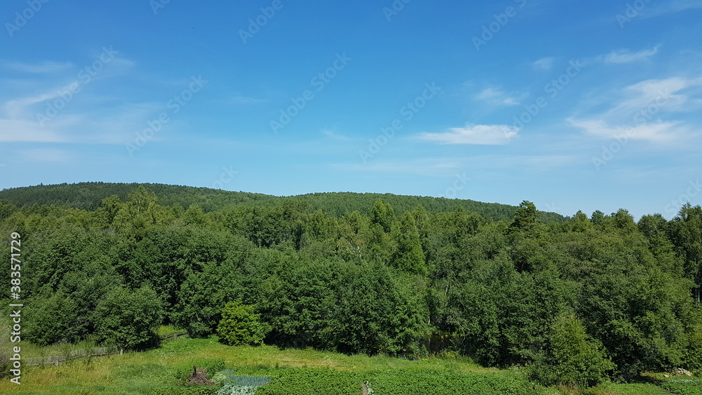 Fototapeta premium landscape with trees