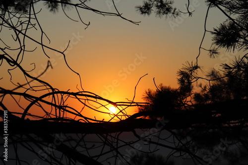 wchód słońca z zza drzewa © Pawe