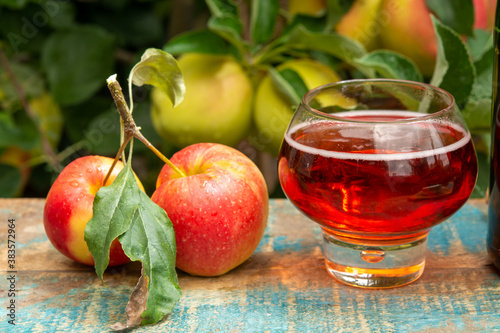 Glass of rose apple cider from Normandy, France and green apple tree with ripe red fruits on background