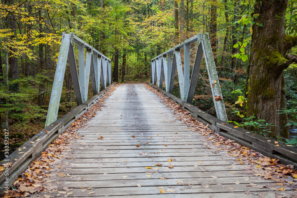 Autumn scene with wooden bridge. Autumn scene with wooden bridge.