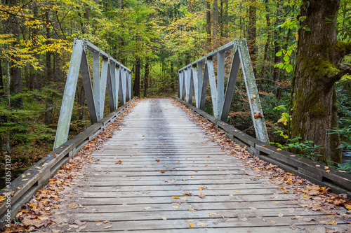 Autumn scene with wooden bridge.