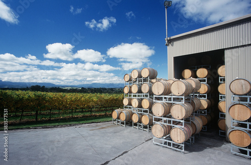 Wine stored in barrels at wineyard Yarra Valley Victoria Australia.
