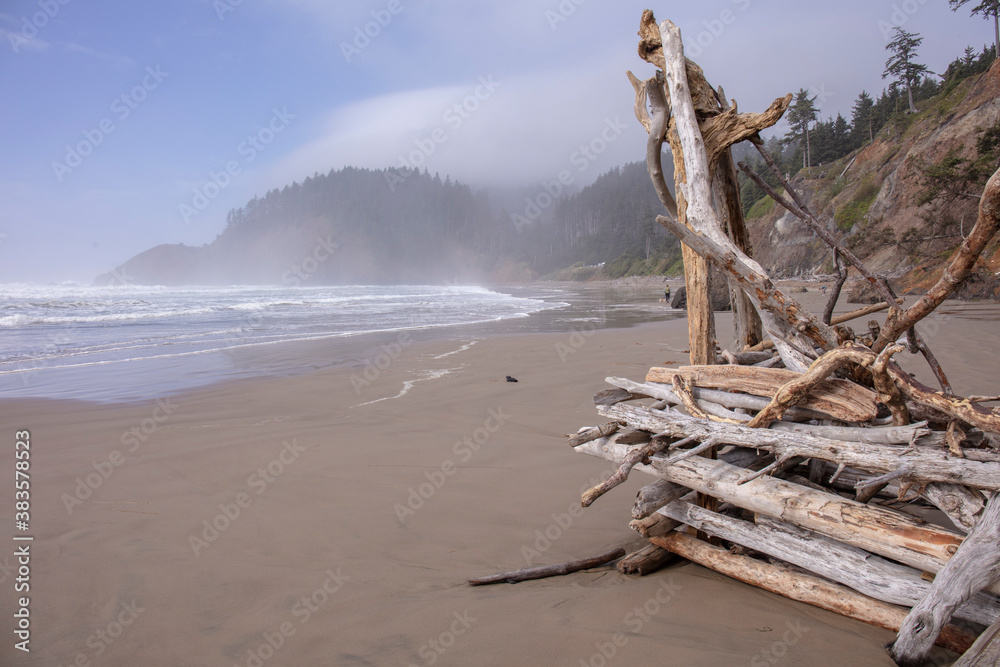 Fototapeta premium Indian point view point in Oregon, USA