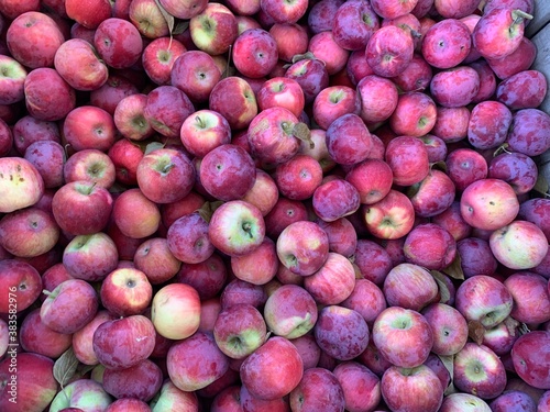Manzanas y mas manzanas rojas deliciosas frescas listas para un delicioso jugo o un pay de manzanas.