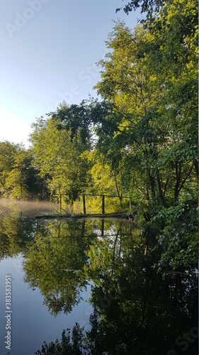 reflection of trees in the water