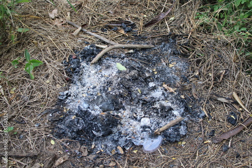 fire in the forest