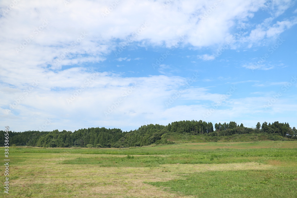 晴れた空と広々とした草原 spacious grassland on a sunny day 1