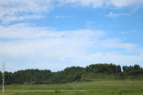                                      spacious grassland on a sunny day 2