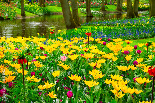 spring pond in park photo