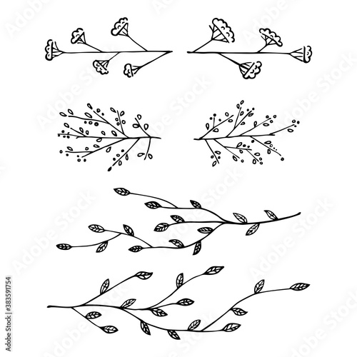 Botanic illustration, hand-drawn tree branches and flowers. Vector set