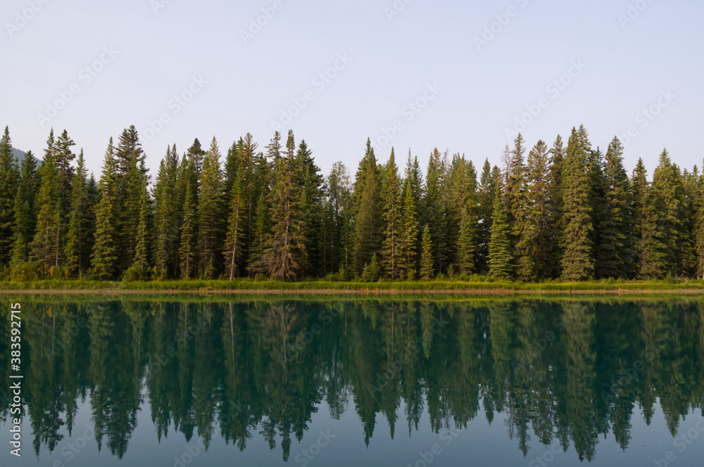 Fototapeta premium Bow River in the Morning