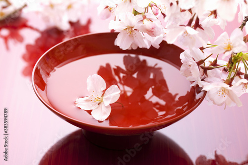 桜の花びらと杯