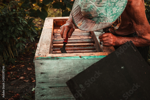 old man working in an apiary near the beehive with honey and bees