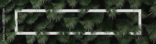 Tropical Palm Design I.