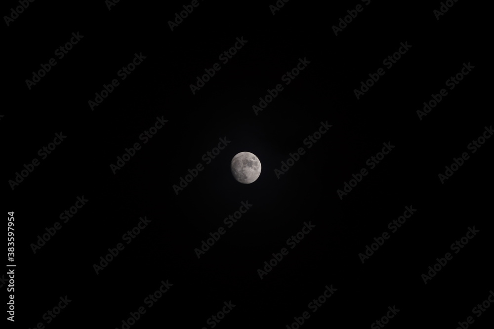 moon moon