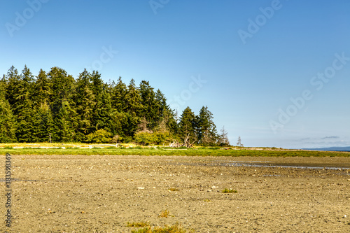 View of Rathtrevor Beach provincial park during low tide in Vancouver Island, BC, Canada photo